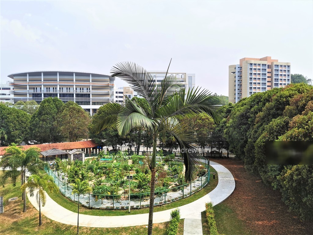 Blk 502 Ang Mo Kio Avenue 5 (Ang Mo Kio), HDB 3 Rooms #210217391